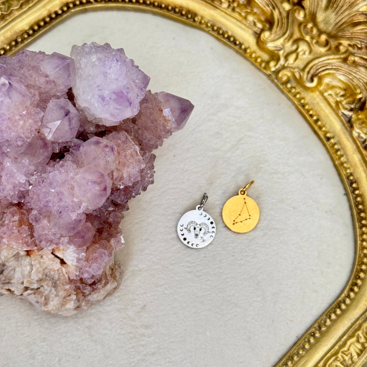 ♏️♑️ Star Sign ♒️♓️ mini round charms