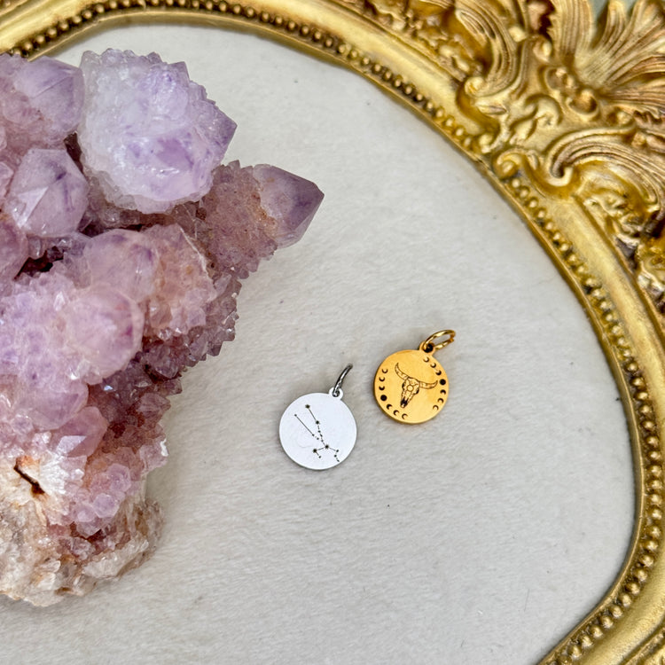 ♏️♑️ Star Sign ♒️♓️ mini round charms