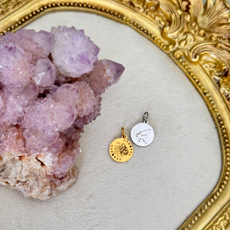 ♏️♑️ Star Sign ♒️♓️ mini round charms