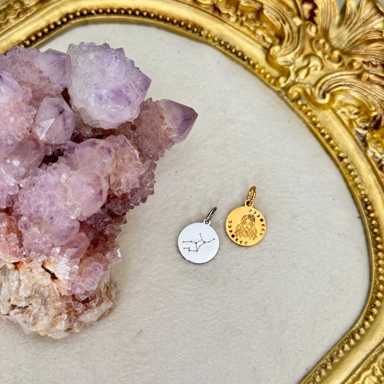 ♏️♑️ Star Sign ♒️♓️ mini round charms