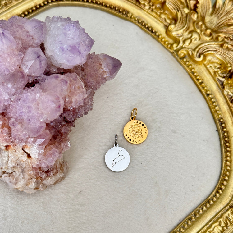 ♏️♑️ Star Sign ♒️♓️ mini round charms