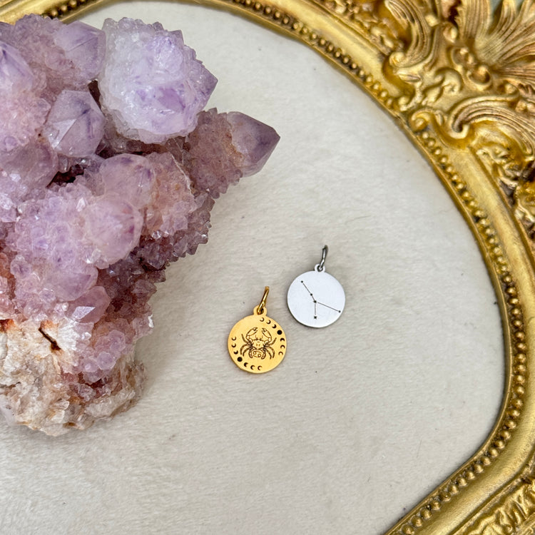 ♏️♑️ Star Sign ♒️♓️ mini round charms