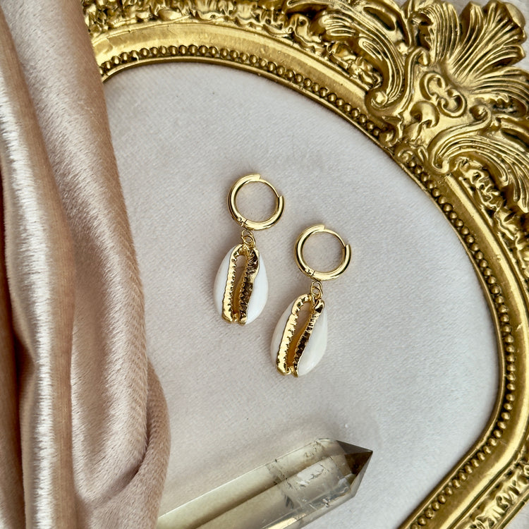 π Venus π Cowrie Shell Huggies Hoop Earrings