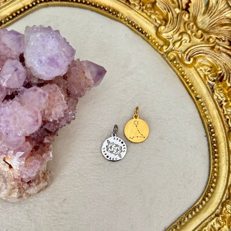 ♏️♑️ Star Sign ♒️♓️ mini round charms
