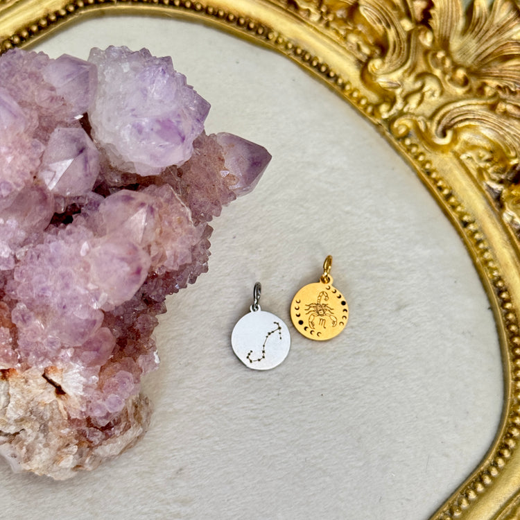♏️♑️ Star Sign ♒️♓️ mini round charms