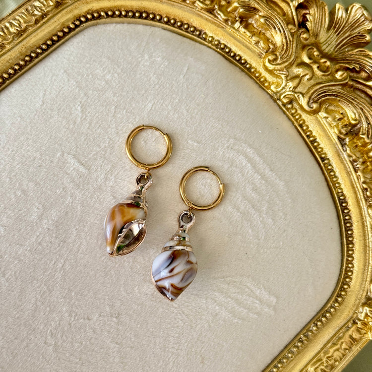 π Aphrodite π Shell Huggies Hoop Earrings